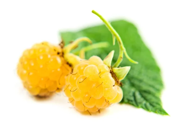 stock image Yellow raspberry on a white background