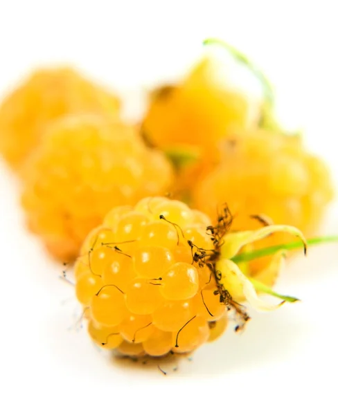 Yellow raspberry on a white background — Stock Photo, Image