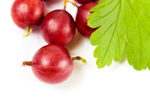 stock image Red gooseberry on a white background