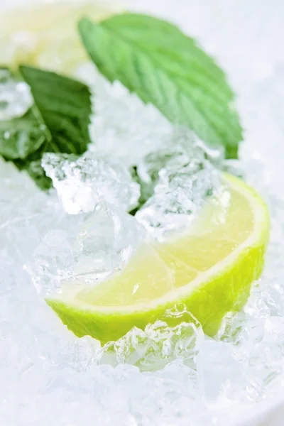 Lime and peppermint leaves — Stock Photo, Image