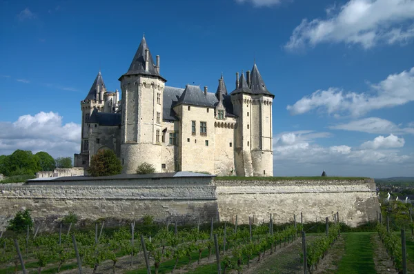 Château de Samur — Photo