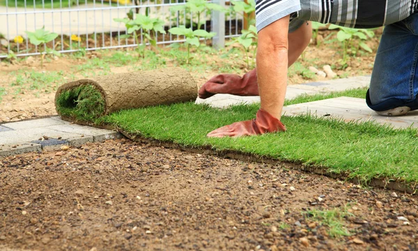 뜰을 만들기-새로운 잔디밭 잔디에 누워 — 스톡 사진