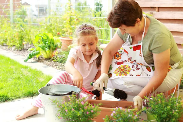 Child helps by replanting — Stock Photo, Image