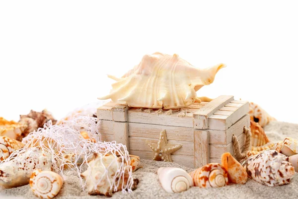 Conchas marinas y cofre del tesoro — Foto de Stock