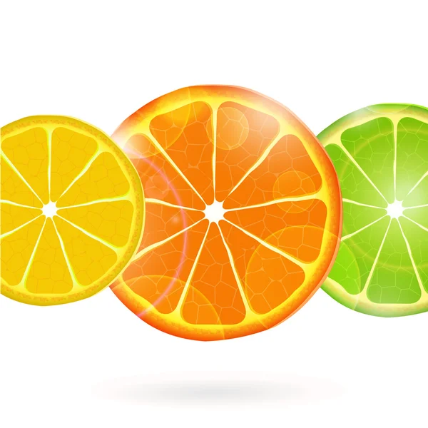 Tranches de fruits — Image vectorielle