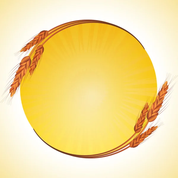 Wheat border and starburst — Stock Vector