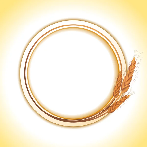Пшениця border2 — стоковий вектор