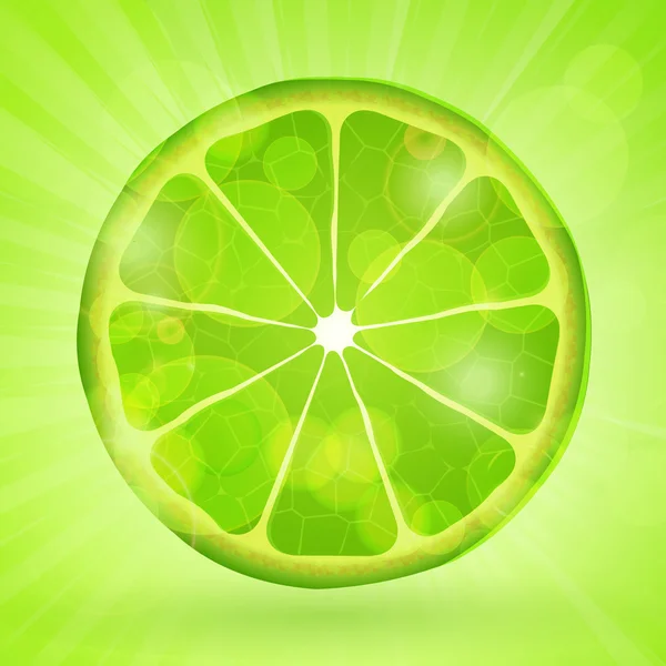 Lime background — Stock Vector