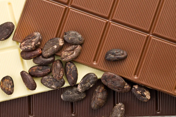 カカオ豆の様々 なチョコレート ・ バー — ストック写真