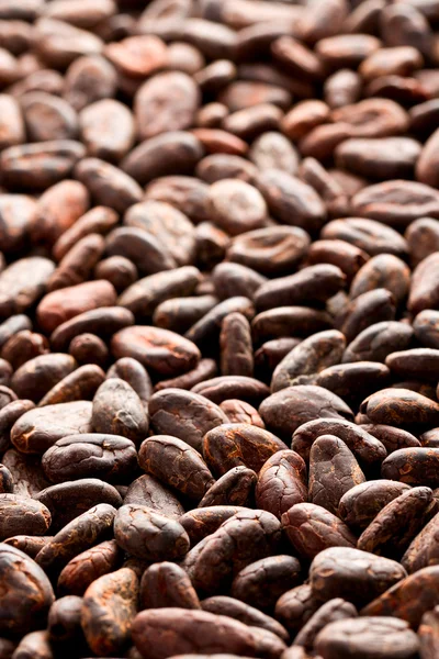 Cacaobonen achtergrond — Stockfoto