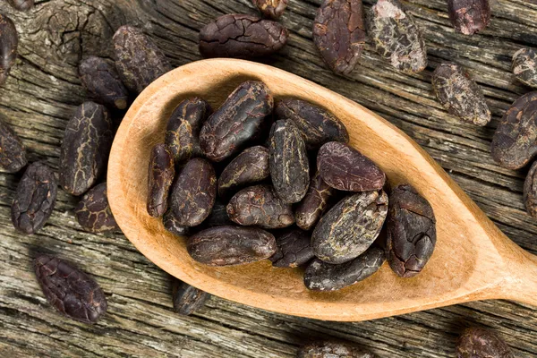 Cacaobonen in houten lepel — Stockfoto