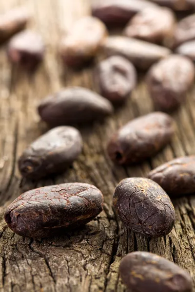 Kacang Cocoa — Stok Foto