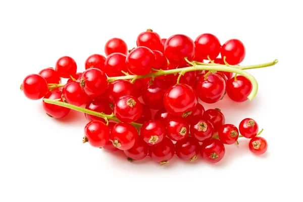 stock image Sweet red currants