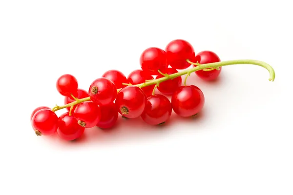 Słodkie czerwone porzeczki — Zdjęcie stockowe