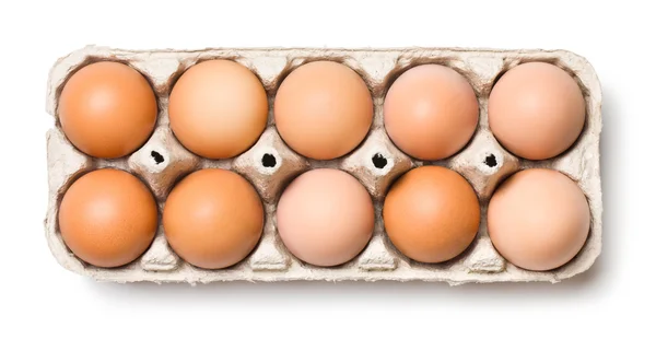 Œufs bruns dans la boîte à œufs — Photo