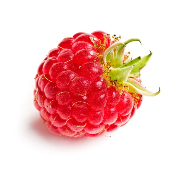 Smaczny owoc maliny — Zdjęcie stockowe