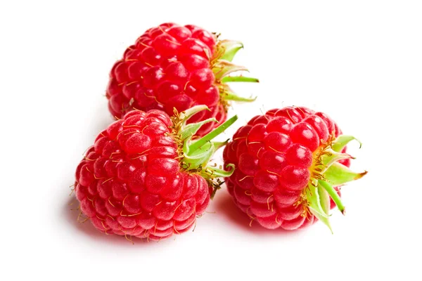 Tasty raspberry fruit — Stock Photo, Image