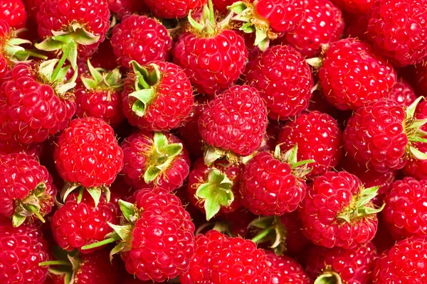 A lot of raspberries — 图库照片