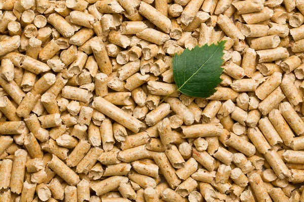 The wooden pellets — Stock Photo, Image