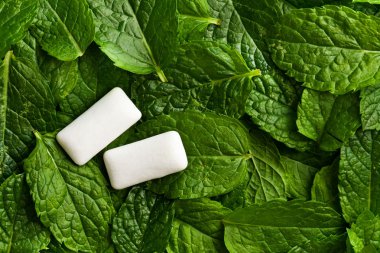 Mint leaves and chewing gum clipart