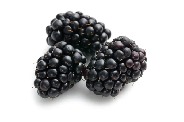 BlackBerry ovoce — Stock fotografie