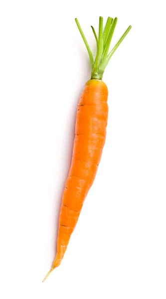 Морква свіжа — стокове фото