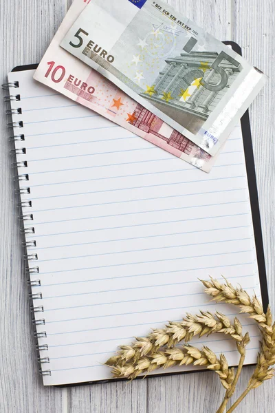 Wheat ears and euro money on notebook — Stock Photo, Image