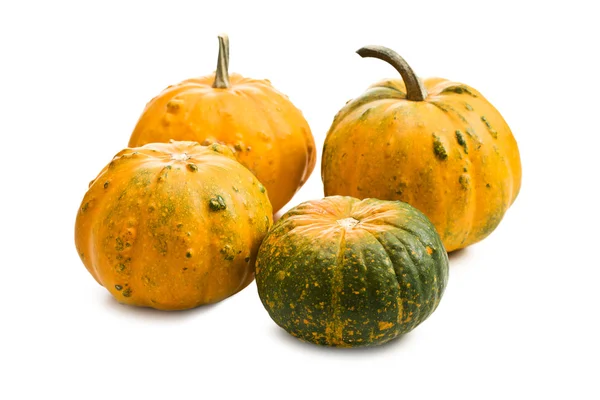 Small pumkins Stock Picture