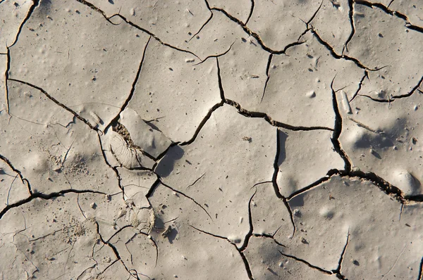 Trockenzeit - getrockneter Boden — Stockfoto