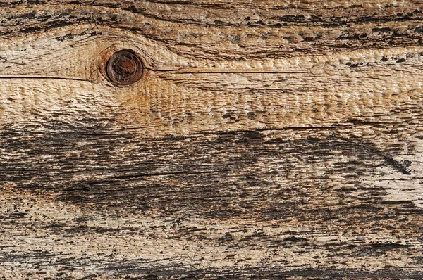 Nudo - textura de madera — Foto de Stock