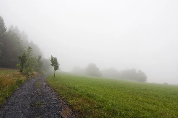 Foggy landscape — Stock Photo, Image