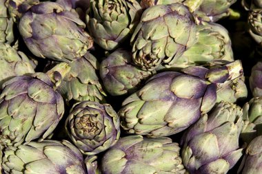 Artichokes background clipart