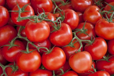 Fresh tomato background clipart