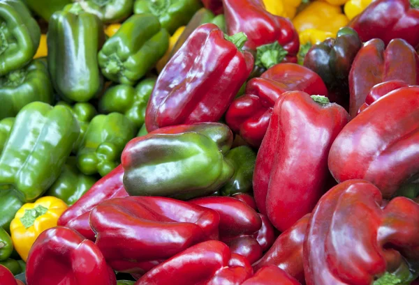 Mixed peppers — Stock Photo, Image