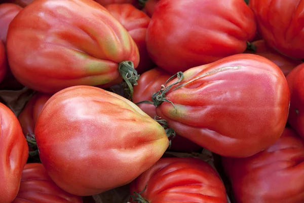 Tomates maduros —  Fotos de Stock