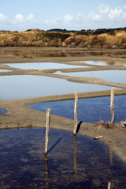 Salt marshes clipart