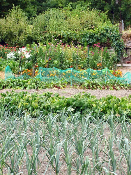 stock image Allotment