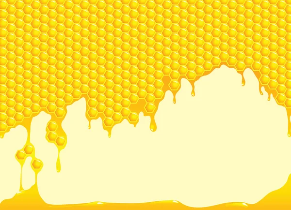 Peine de abeja — Archivo Imágenes Vectoriales