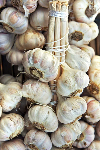 Bundles of garlic — Stock Photo, Image