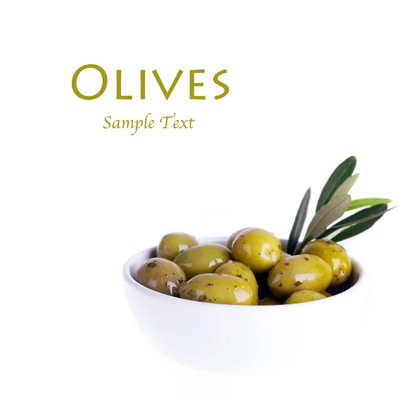 Olivy — Stock fotografie