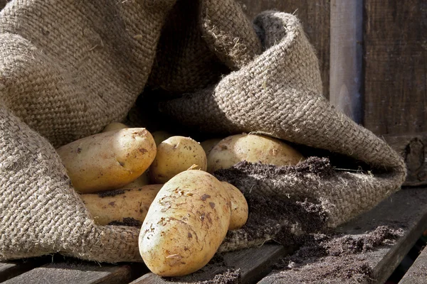Patatas 4 — Foto de Stock