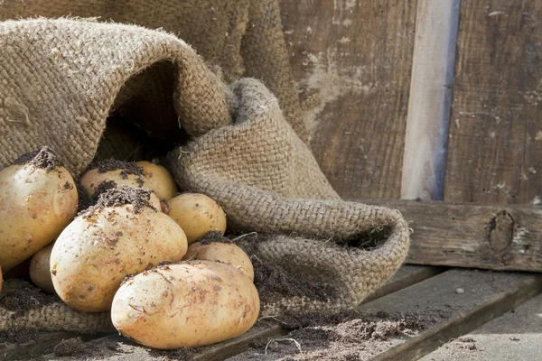 Potatoes 5 — Stock Photo, Image