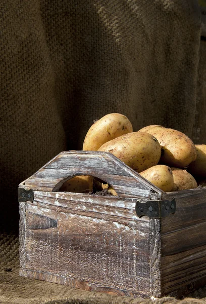 Patatas 8 —  Fotos de Stock