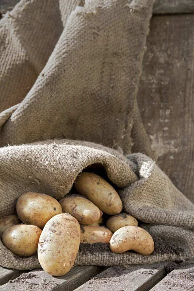 Potatis ! — Stockfoto