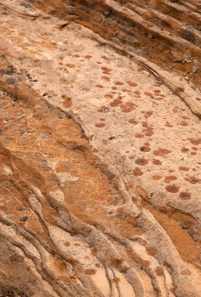 Zion textura de rocha — Fotografia de Stock