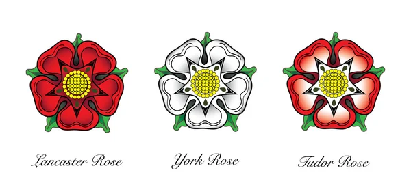 English Rose Emblem — Stock Vector