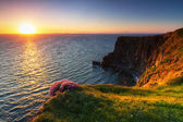 Картина, постер, плакат, фотообои "cliffs of moher at sunset", артикул 10873385