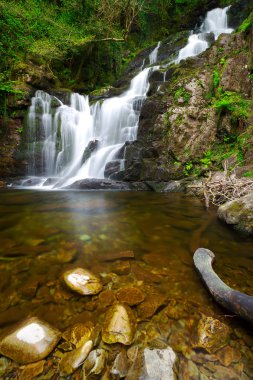 Killarney Ulusal Parkı 'nda Torc Şelalesi