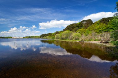 Idyllic scenery of Killarney lake clipart