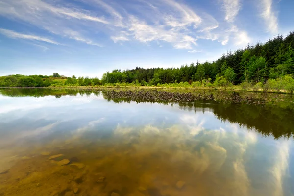 Vackra irländska skogen vid sjön — Stockfoto